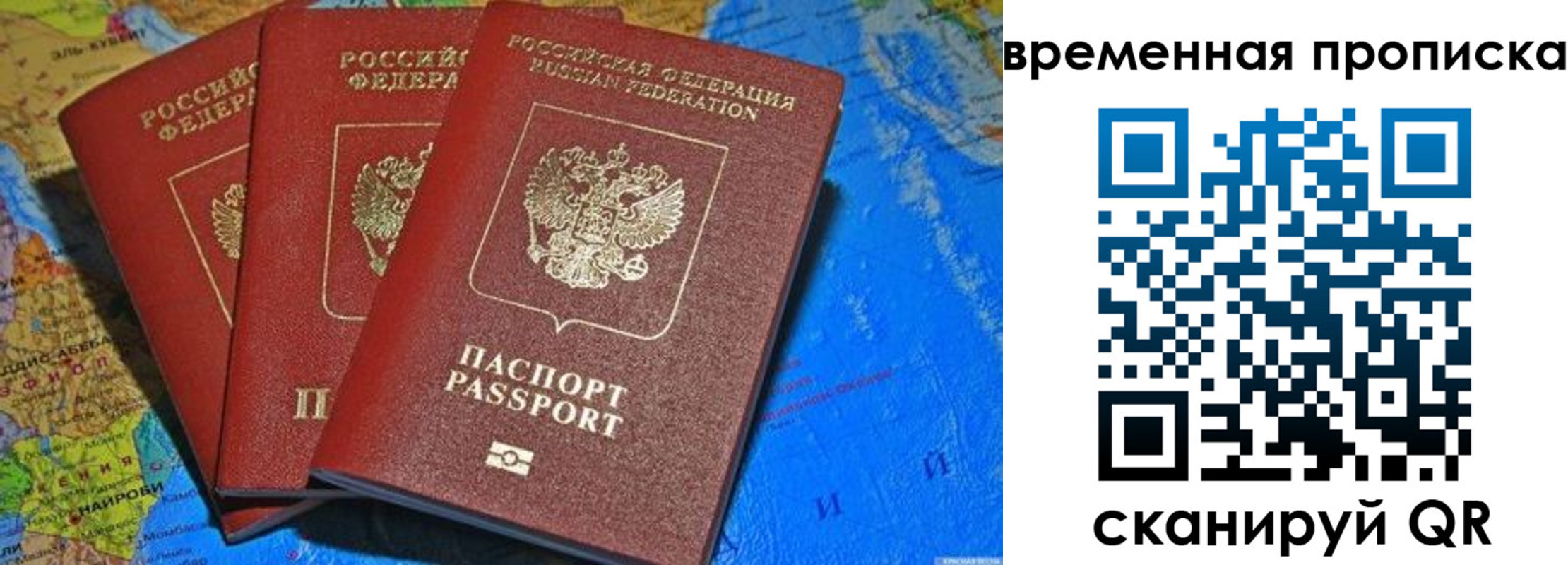 прописка в квартире в Голицыно